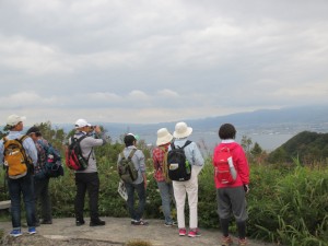 IMG_4481