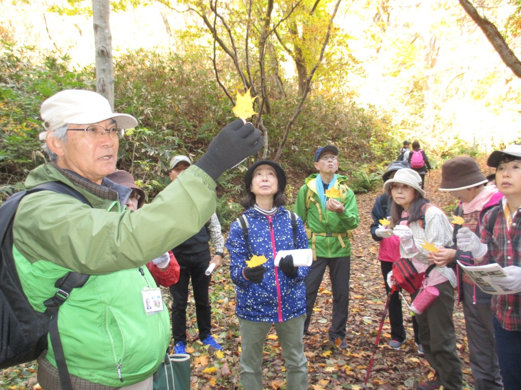 山あるき探検隊④ (22)
