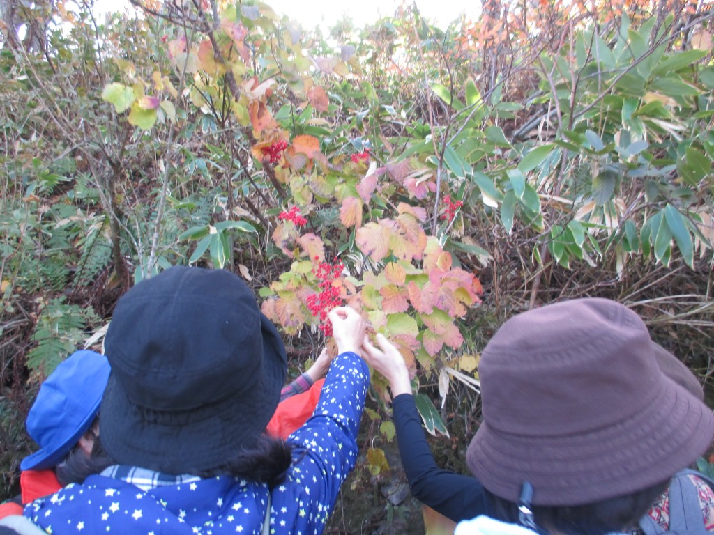 山あるき探検隊④ (36)